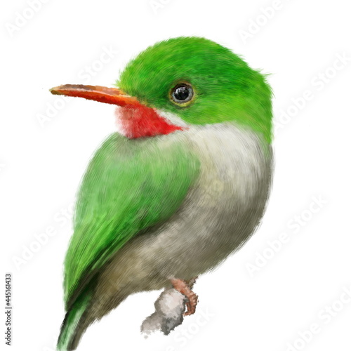 The Jamaican tody (Todus todus), beautiful green bird on the branch, hand drawn isolated on a white background. Bright background, wildlife. Animal for diy project, printing on fabric, stickers, print photo