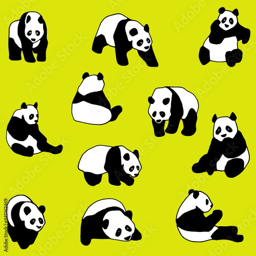 Famille de pandas dans plusieurs positions dans un style cartoon sur fond vert