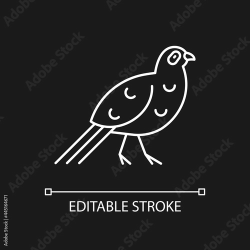Bird linear icons set for dark and light mode. Mikado pheasant. Exotic forest inhabitants. Thin line customizable illustration. Isolated vector contour symbol for night mode. Editable stroke