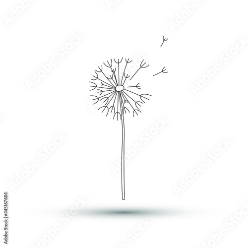 Vector illustration of blowball. Thin line dandelion flower icon isolated on white background. 