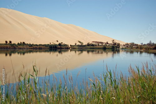 Gaberoun Oasis, Ubari Sand Sea, Libya photo