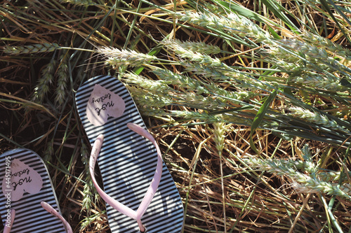 Beautiful view of lying in a field with wheat and a view of the blue sky in summer