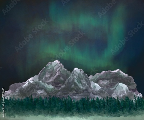 Slika na platnu Night Aurora borelias and mountains landscape