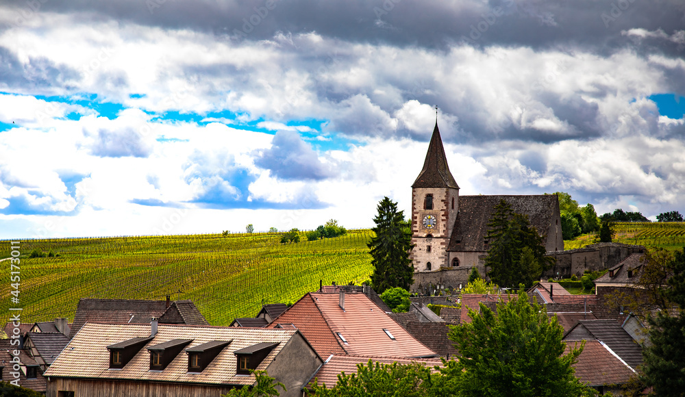 Eglise fortifiée au milieu du vignoble alsacien