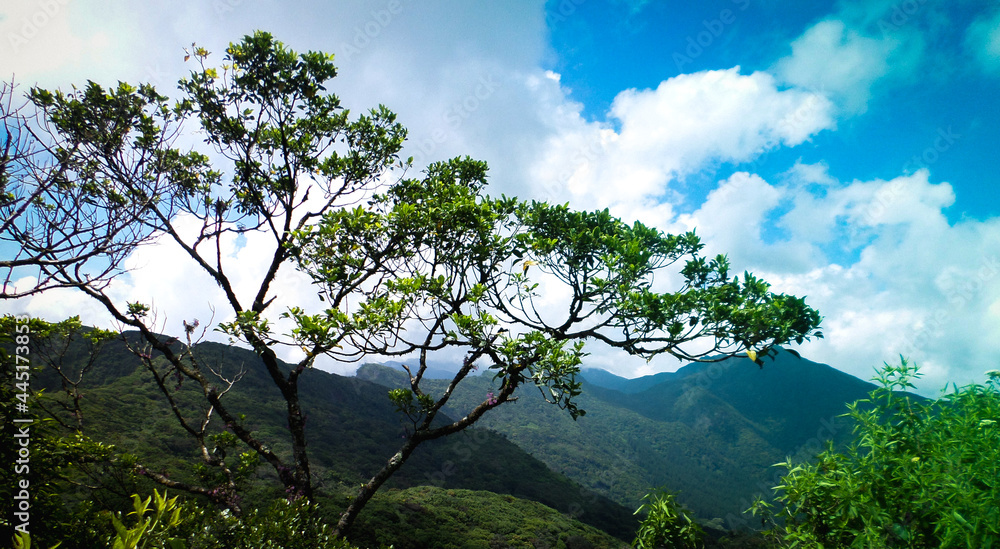 Obraz premium SAMSUNG CAMERA PICTURES