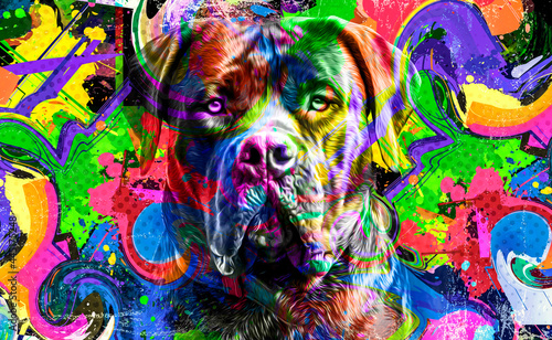 close up of colorful splash...