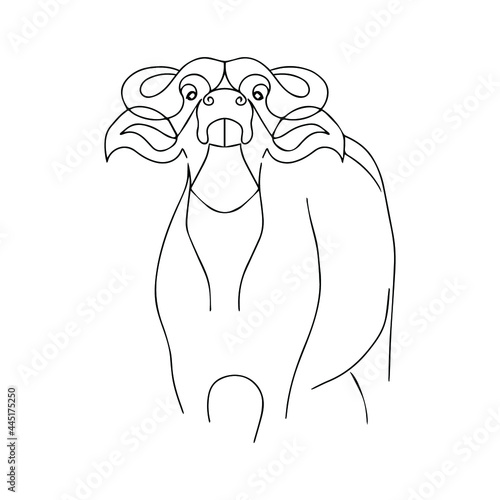 Drawing a single or continuous line of a bull. Vector illustration. Silhouette of a bull, buffalo in a modern style. Domestic cattle. Tattoo sketch. Coloring animal.