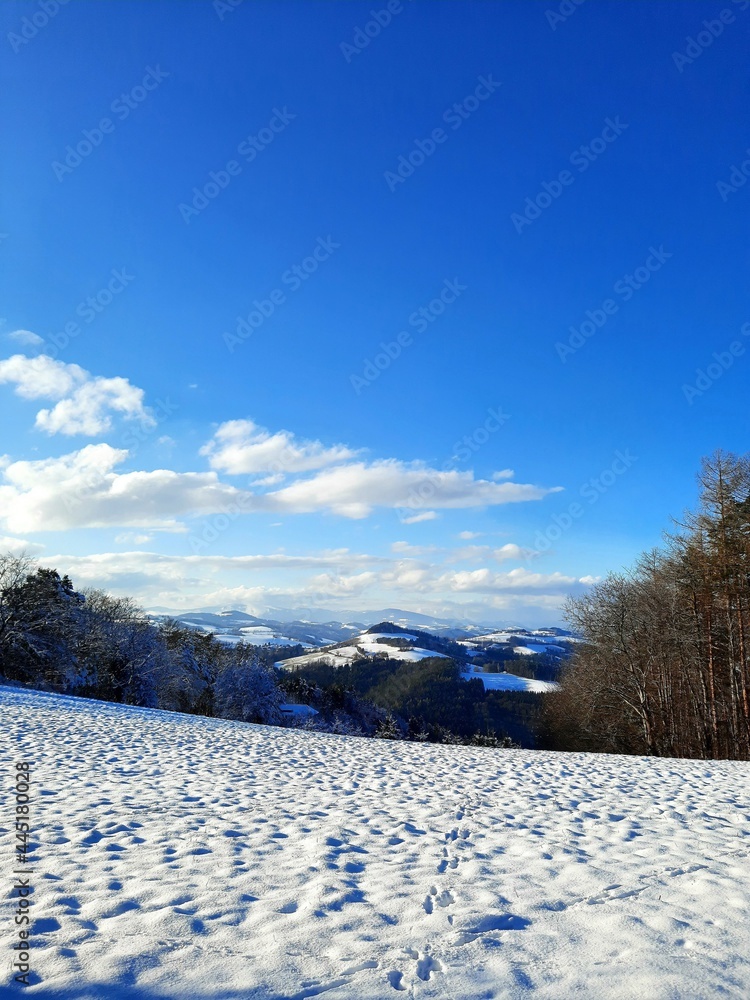 Obraz premium Winterlandschaft