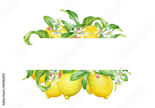 Floral frame with watercolor lemon tree branches with fruits and flowers