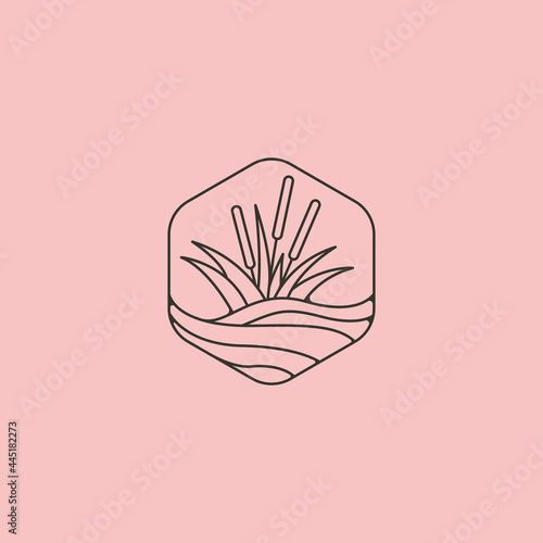 Foto line art cattail grass icon logo vector symbol illustration design