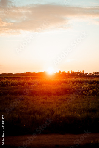 Sonnenuntergang über Feld © Steffen