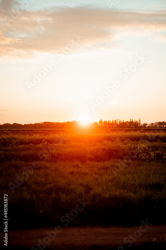 Sonnenuntergang über Feld 