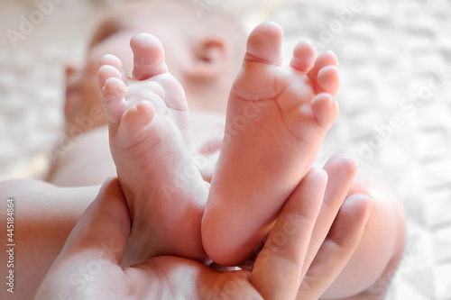 Mother holding Baby Feet in Hands. Legs Newborn in female parents Hand. Small children's Feet in the Mom Palm. Close-up. Little Toes of Child and Woman Hands of Happy Parent. Mother's Day Holiday © Marina Demidiuk
