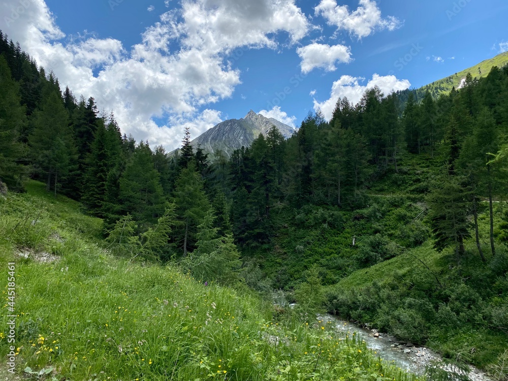 landscape in the mountains