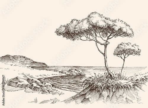 Sea shore hand drawing, sea view, small beach, calm waters and trees vector landscape