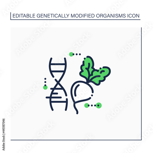 Sugar beet line icon. Genetically modified beet. GMO product. Improving genes. Microbiology. Genetically modified organism concept. Isolated vector illustration.Editable stroke