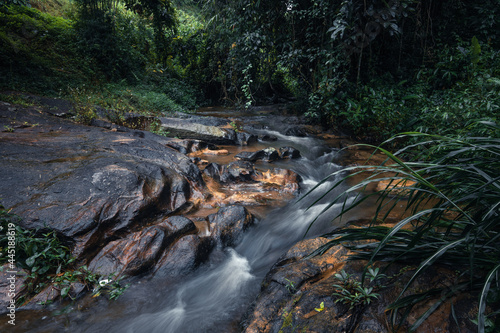 stream after rain in tropical forest