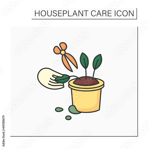 Gardening color icon. Remove dying leaves. Trimming leaflets.Home gardening. Houseplant care concept.Isolated vector illustration