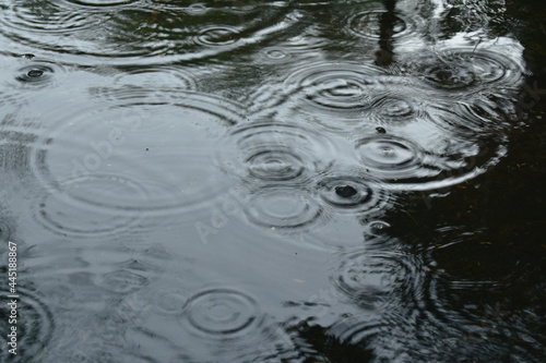 blurry rain drop and make flooding on cement ground in park