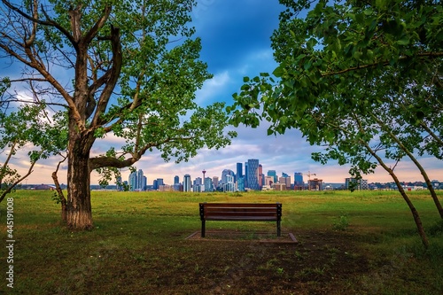 Bench In A Summer Park Overlooking Downtown Calgary