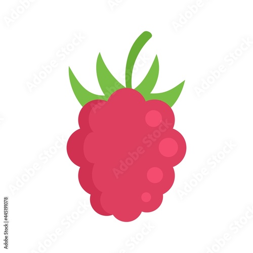 Fresh raspberry icon flat isolated vector