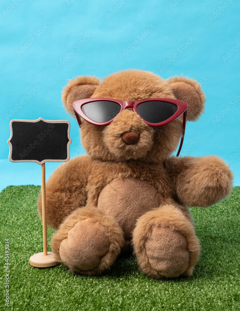 Cute teddy bear with red sunglasses and little chalkboard on green grass, with blue background Cute teddy bear with red sunglasses and little chalkboard on green grass, with blue background