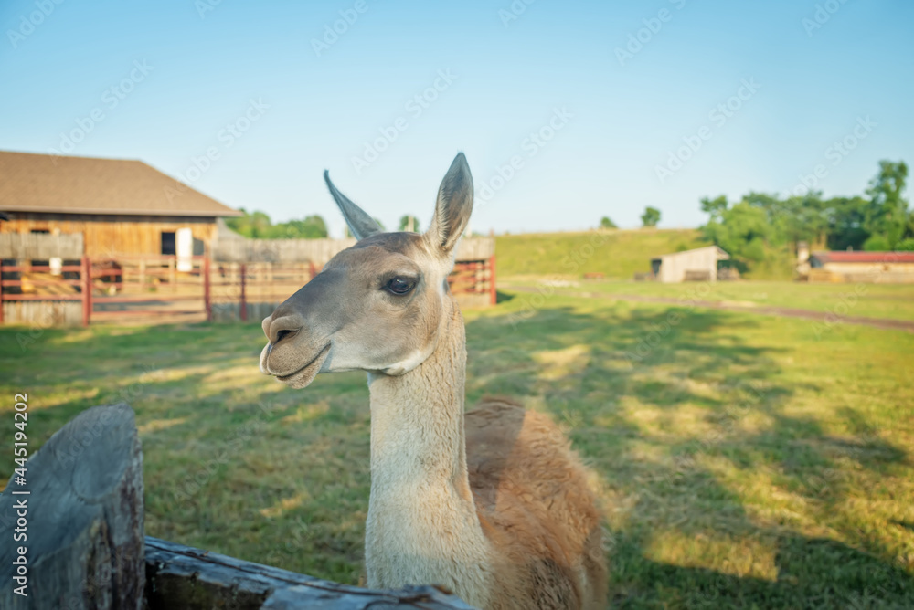 Kudykina Gora Nature Park in the Lipetsk region in Russia Kudykina Gora Nature Park in the Lipetsk region in Russia