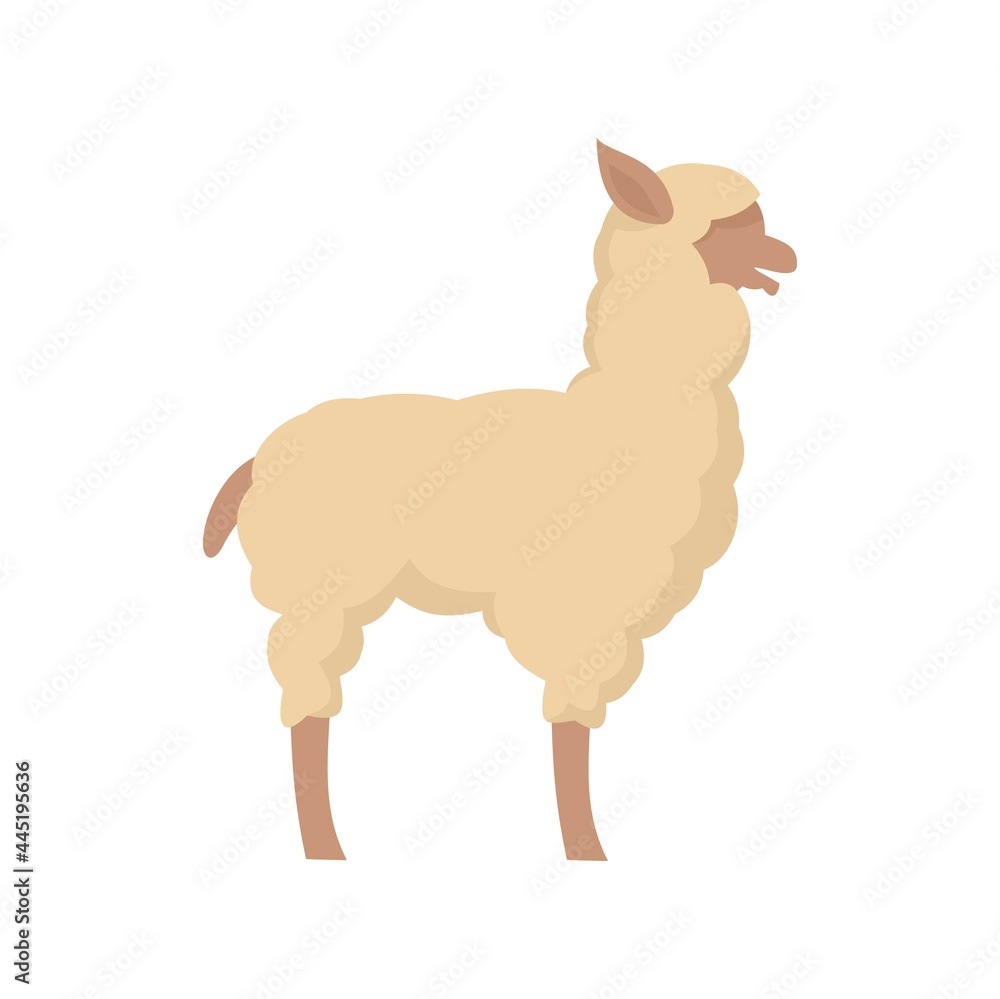 Fototapeta premium Lama icon flat isolated vector