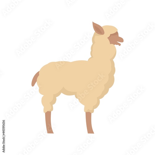 Lama icon flat isolated vector