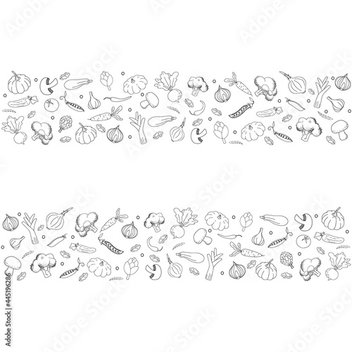 background in vegetables doodle style. Black hand drawn vegetables on white background. Hand drawn vector illustration for fabric, textile, poster, wrapper, card, clothes. Copy space