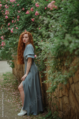 Beautiful redhead woman with natural long curly hair wearing stylish maxi dress posing in blooming rose garden. Full-length outdoor portrait
