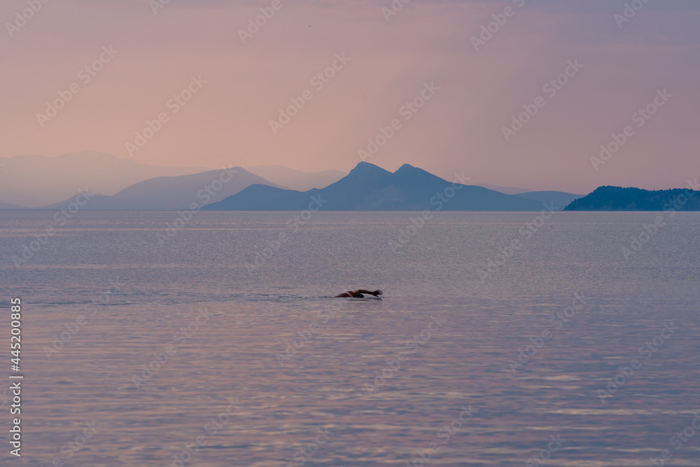 Man swims in the sea with a pink sunset and mountains in the background