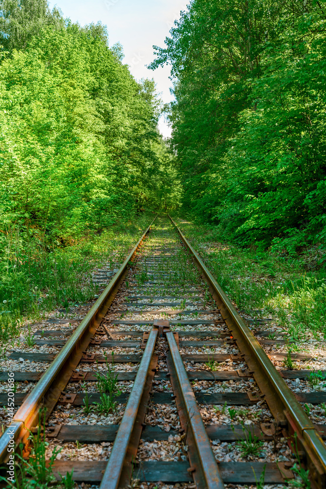 Abandoned railway tracks in the forest. Abandoned railway tracks in the forest.