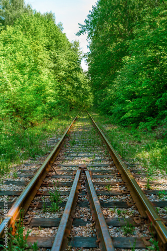 Abandoned railway tracks in the forest.