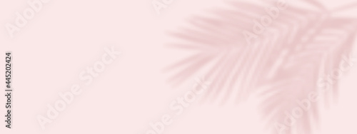 Shadow overlay effects with palm leaves in the corner. Floral background with leaf shadow. Vector illustration