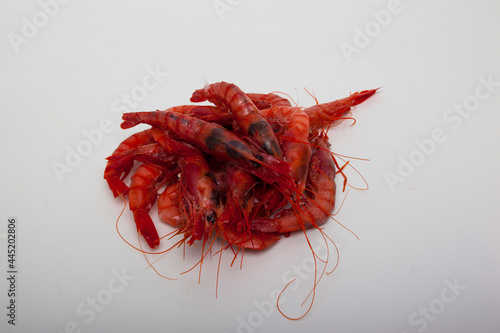 photographs of frozen seafood of all kinds and variety