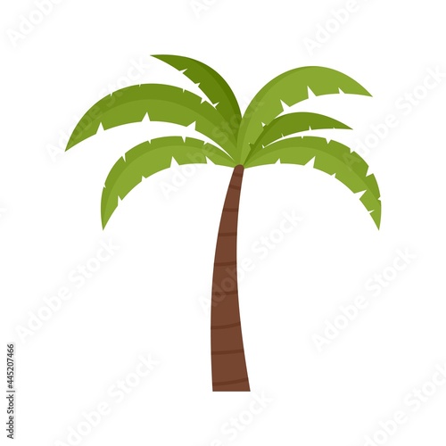 Palm tree icon flat isolated vector