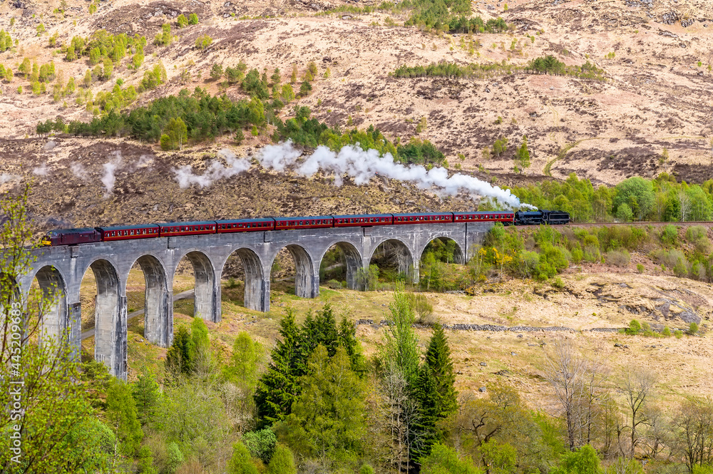 Fototapeta premium A close up view of a steam train being pushed up the gradiant of the viaduct at Glenfinnan, Scotland on a summers day
