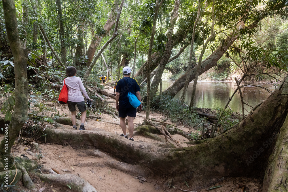 Tourists walking along the scenic river bank of Tahan River with lush rainforest foliage at Taman Negara National Park, Pahang