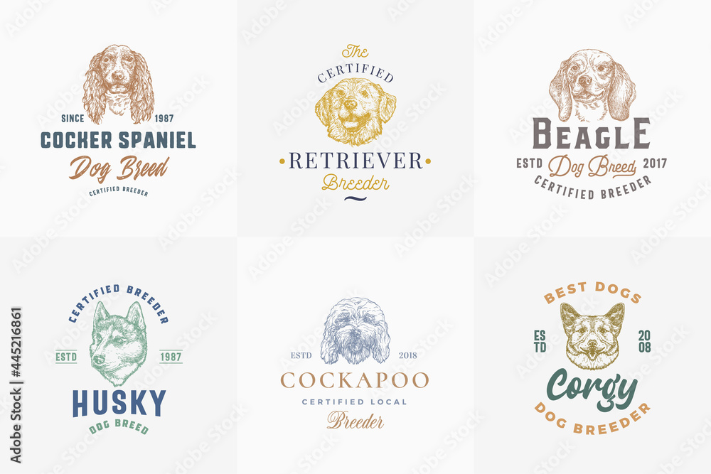 Dog Breeds Badges or Logo Templates Collection. Hand Drawn Spaniel, Corgy, Beagle, Retriever and Husky Dogs Face Sketches with Typography and Borders. Premium Emblems Set Isolated