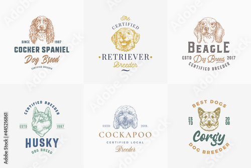 Dog Breeds Badges or Logo Templates Collection. Hand Drawn Spaniel, Corgy, Beagle, Retriever and Husky Dogs Face Sketches with Typography and Borders. Premium Emblems Set Isolated