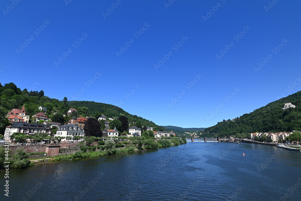 Neckarufer in Heidelberg im Sommer