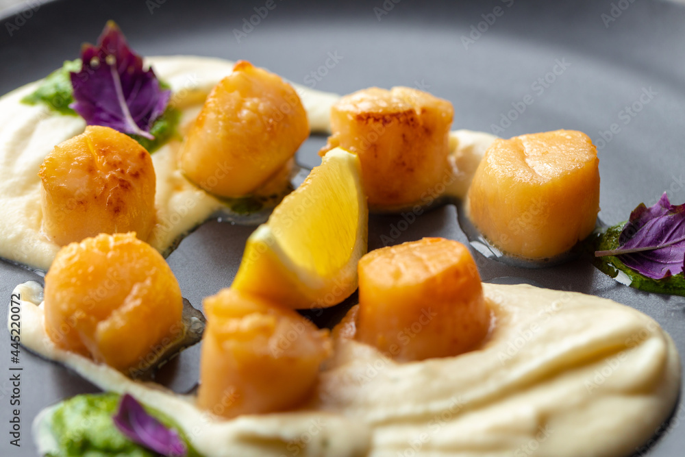 Scallops in creamy sauce on black plate Scallops in creamy sauce on black plate