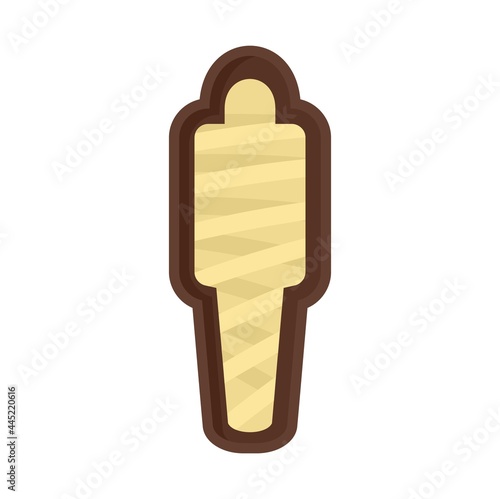 Sarcophagus icon flat isolated vector