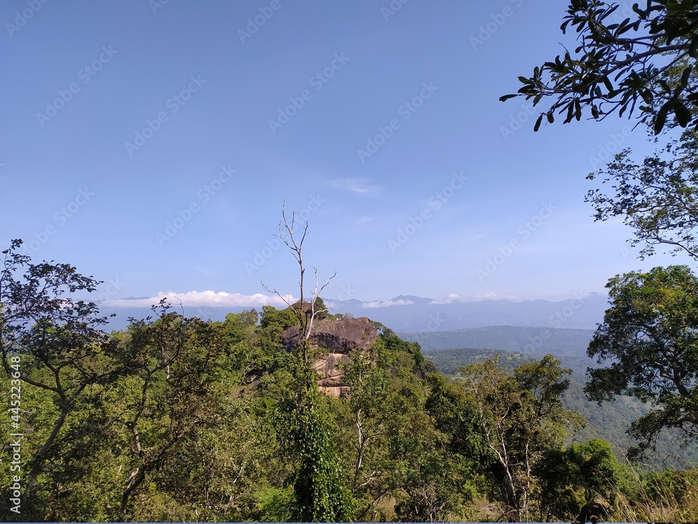 Obraz premium tree in the mountains