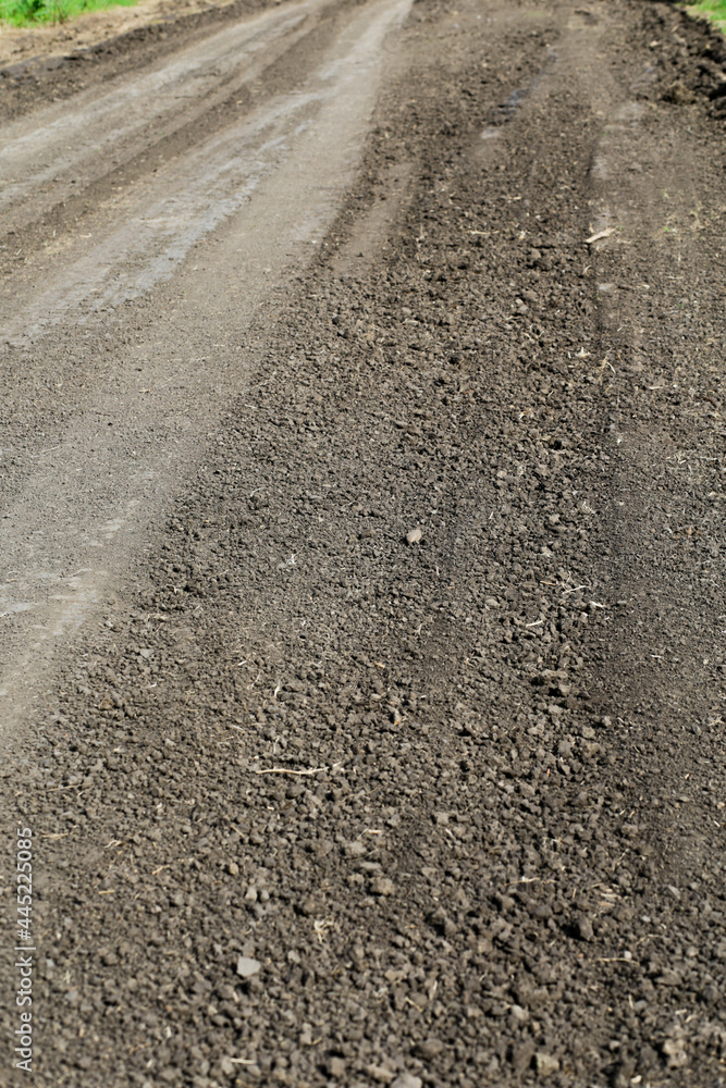 Naklejka premium long winding rural trail along green grass in summer
