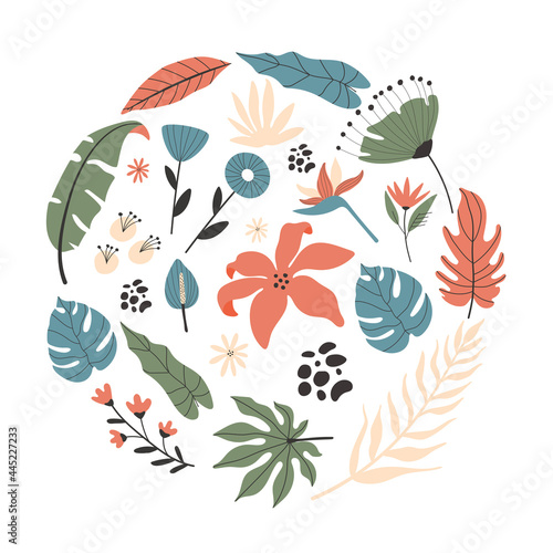 Exotic tropical flowers and leaves set, round style concept. with hand drawn illustrations.