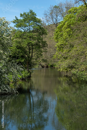 The River Wye at Monsal Dale in the Peak District  Derbyshire
