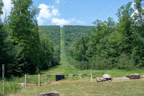 Natural Gas Pipeline Cut in a forest