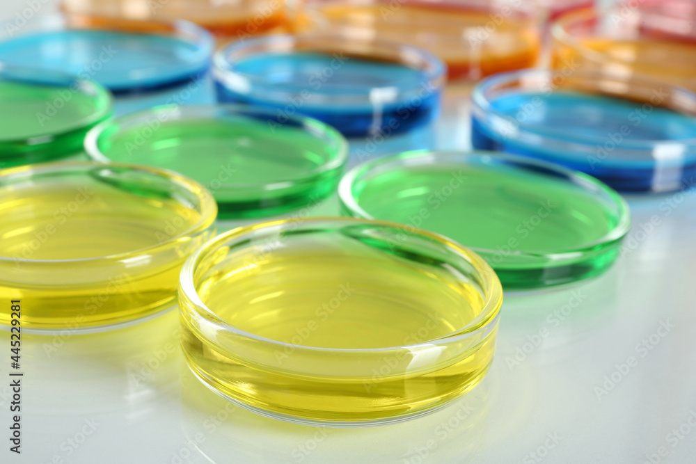 Petri dishes with colorful liquids on white table, closeup